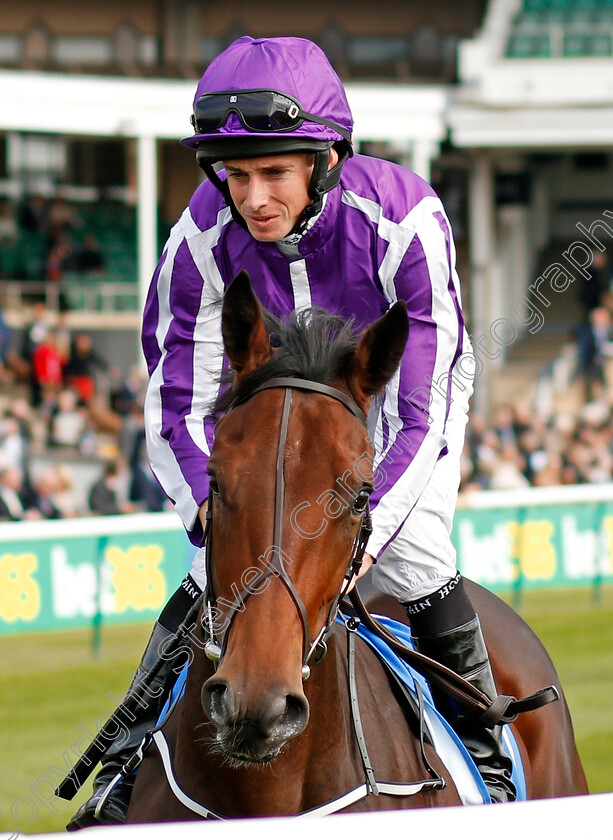 I-Can-Fly-0001 
 I CAN FLY (Ryan Moore) Newmarket 13 Oct 2017 - Pic Steven Cargill / Racingfotos.com