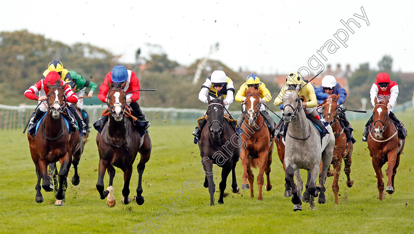 Regal-Reality-0004 
 REGAL REALITY (2nd left, Ryan Moore) beats RICH IDENTITY (grey) in The Hobgoblin Legendary Ruby Ale EBF Maiden Stakes Div2 Yarmouth 20 Sep 2017 - Pic Steven Cargill / Racingfotos.com