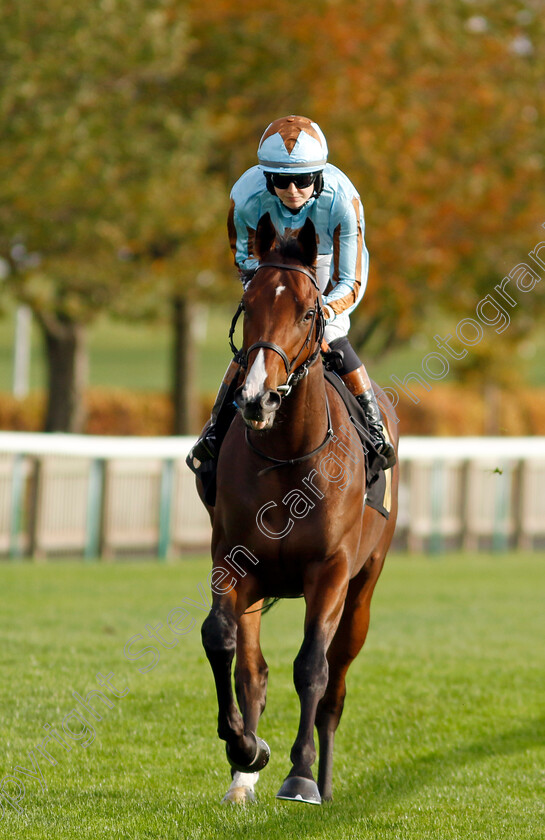 Zoukster-0002 
 ZOUKSTER (Saffie Osborne)
Newmarket 28 Oct 2022 - Pic Steven Cargill / Racingfotos.com