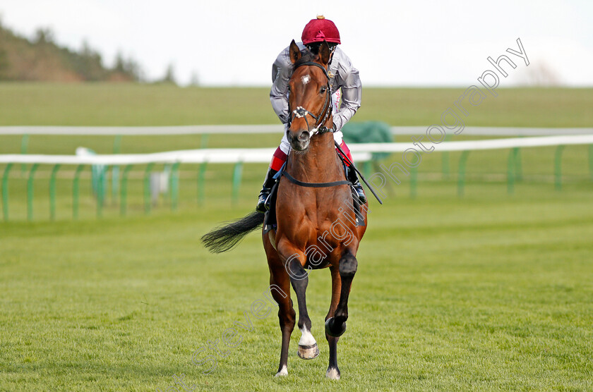 Msayyan-0002 
 MSAYYAN (Frankie Dettori) Newmarket 17 Apr 2018 - Pic Steven Cargill / Racingfotos.com