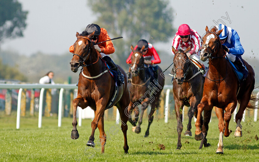 Kingmania-0004 
 KINGMANIA (Pat Cosgrave) beats AJRAD (right) in The Visit attheraces.com Nursery
Yarmouth 15 Sep 2020 - Pic Steven Cargill / Racingfotos.com