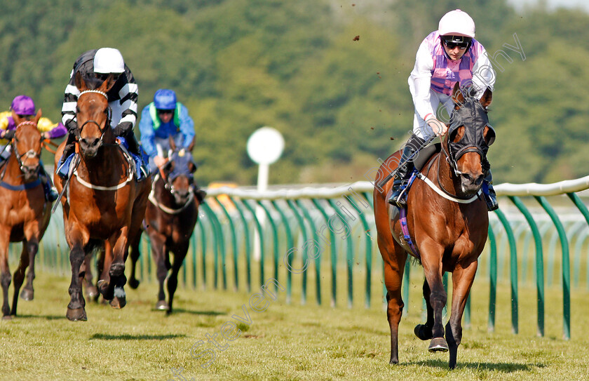 Northwest-Frontier-0005 
 NORTHWEST FRONTIER (Tony Hamilton) wins The Download The App At 188bet Handicap Nottingham 22 May 2018 - Pic Steven Cargill / Racingfotos.com