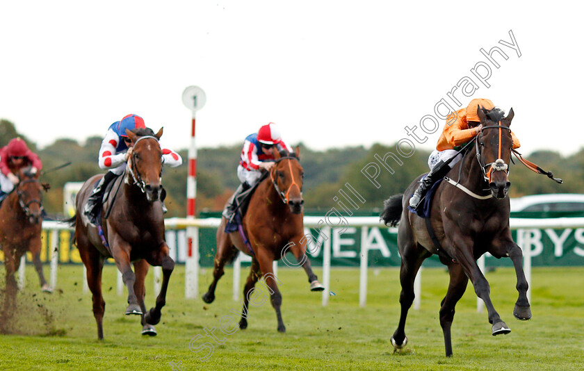 Blue-Laureate-0001 
 BLUE LAUREATE (Adam Kirby) wins The Gary Reid Memorial British Stallion Studs EBF Maiden Stakes Doncaster 15 Sep 2017 - Pic Steven Cargill / Racingfotos.com