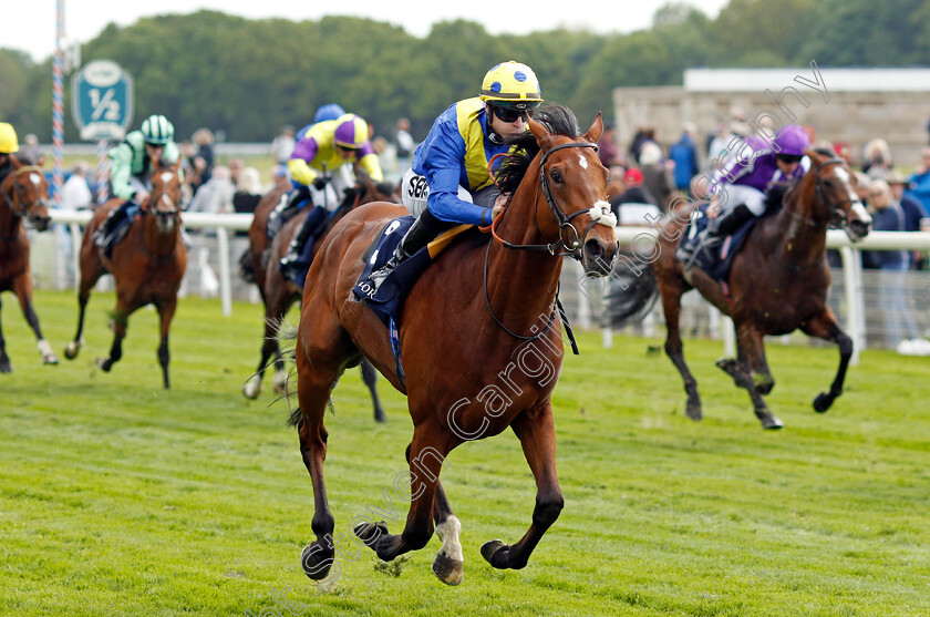 Desert-Crown-0006 
 DESERT CROWN (Richard Kingscote) wins The Al Basti Equiworld Dubai Dante Stakes
York 12 May 2022 - Pic Steven Cargill / Racingfotos.com