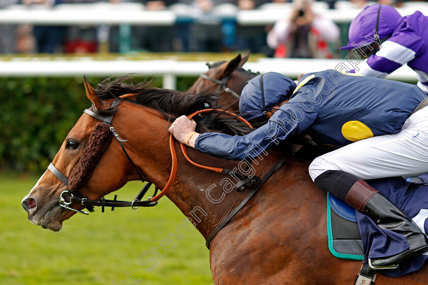 Amazour-0002 
 AMAZOUR (James Doyle) wins The Lakeside Village Outlet Shopper Handicap Doncaster 15 Sep 2017 - Pic Steven Cargill / Racingfotos.com