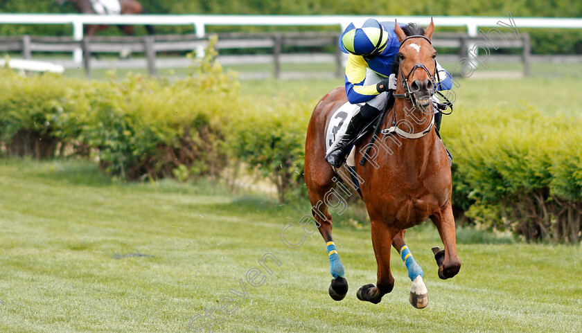 Lord-Justice-0004 
 LORD JUSTICE (Sean McDermott) wins The Green Pastures Hurdle at Perct Warner Park, Nashville 12 May 2018 - Pic Steven Cargill / Racingfotos.com