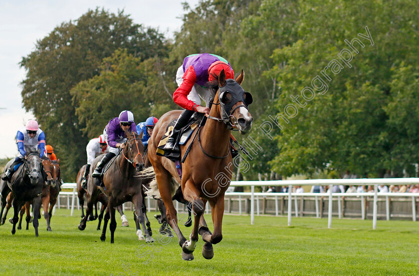 Say-Hello-0003 
 SAY HELLO (James Doyle) wins The Visit racingtv.com Nursery
Newmarket 28 Jul 2023 - Pic Steven Cargill / Racingfotos.com