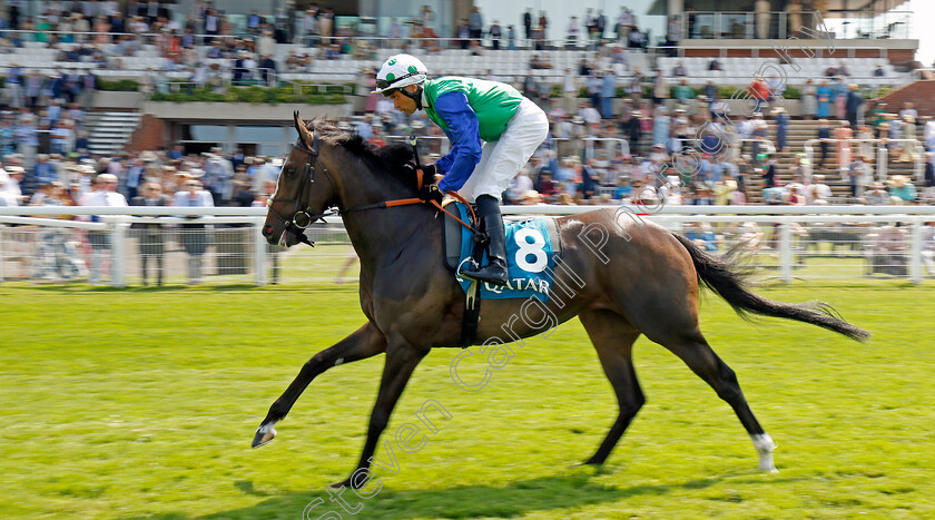 Kathmandu-0001 
 KATHMANDU (Sean Levey)
Goodwood 31 Jul 2024 - Pic Steven Cargill / Racingfotos.com