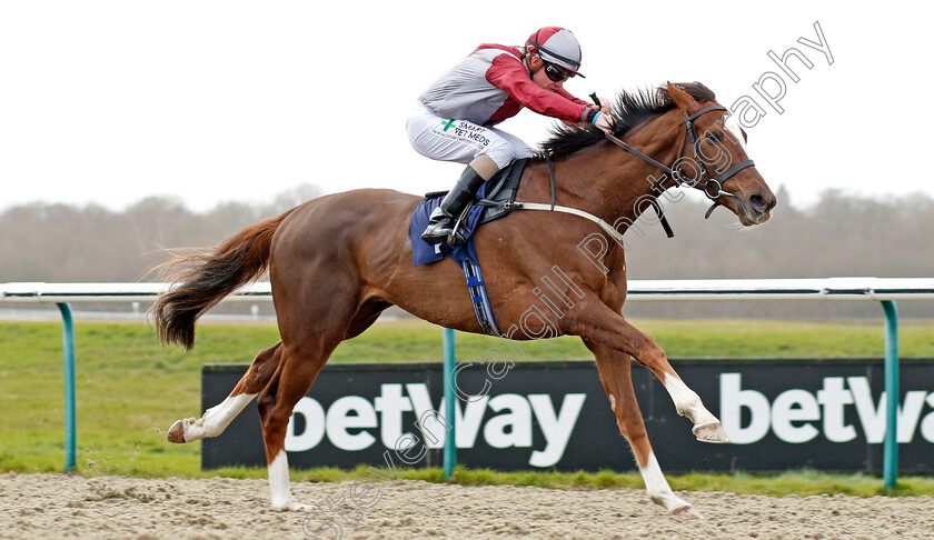 Estrela-Star-0003 
 ESTRELA STAR (Kieran O'Neill) wins The Play 4 To Score At Betway Handicap
Lingfield 14 Feb 2020 - Pic Steven Cargill / Racingfotos.com