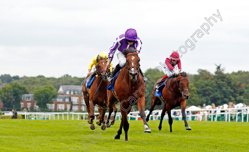 St-Mark s-Basilica-0006 
 ST MARK'S BASILICA (Ryan Moore) beats ADDEYBB (left) and MISHRIFF (right) in The Coral Eclipse Stakes
Sandown 3 Jul 2021 - Pic Steven Cargill / Racingfotos.com