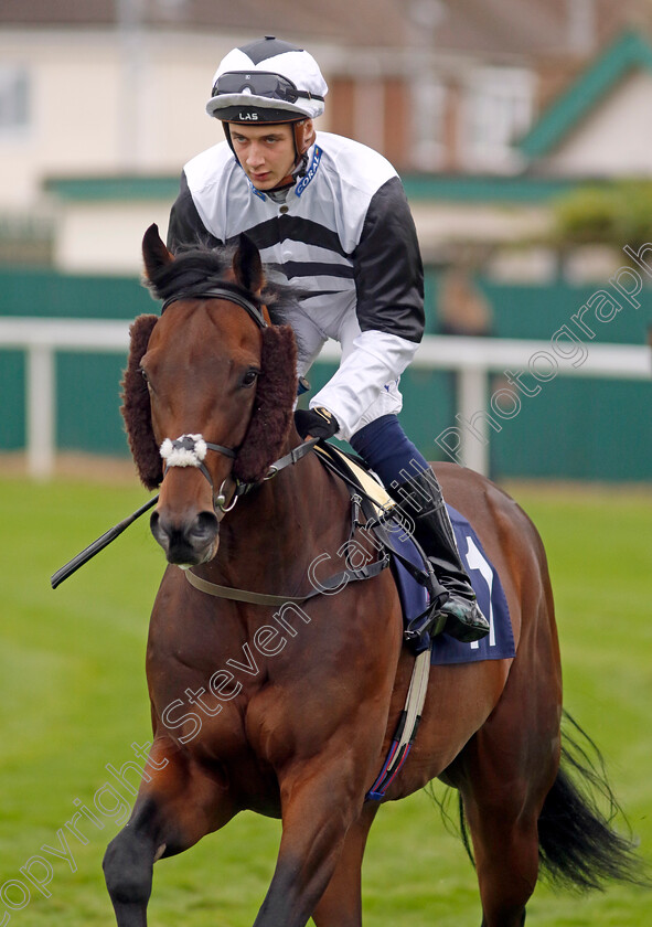 Master-Franca-0001 
 MASTER FRANCA (Connor Planas)
Yarmouth 21 Sep 2023 - Pic Steven Cargill / Racingfotos.com