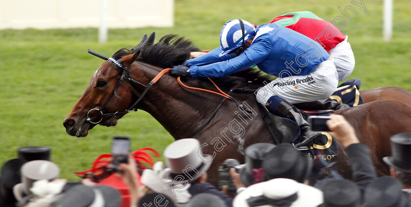 Afaak-0008 
 AFAAK (Jim Crowley) wins The Royal Hunt Cup
Royal Ascot 19 Jun 2019 - Pic Steven Cargill / Racingfotos.com