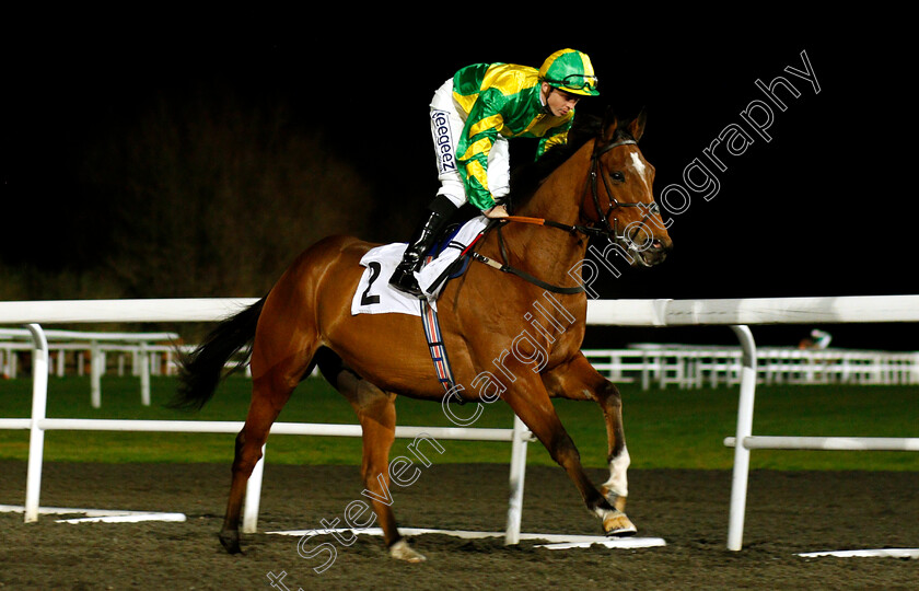 Pipes-Of-Peace-0001 
 PIPES OF PEACE (David Probert)
Kempton 5 Dec 2018 - Pic Steven Cargill / Racingfotos.com