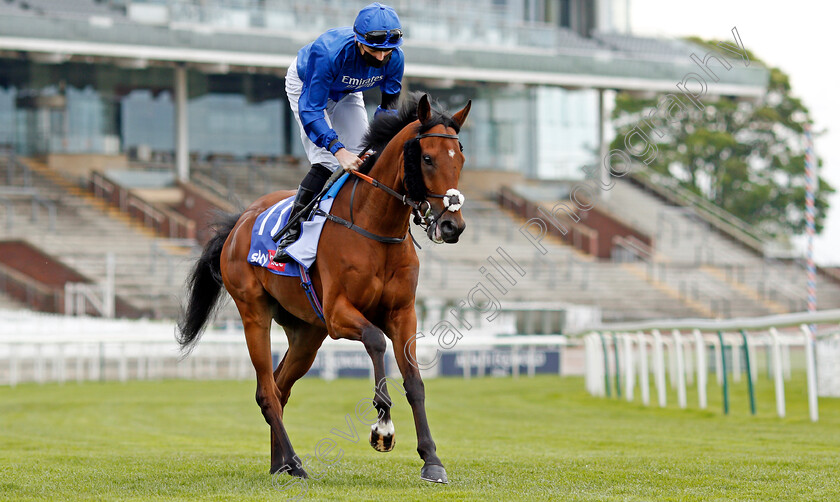 Dubai-Souq-0002 
 DUBAI SOUQ (Callum Shepherd)
York 12 May 2021 - Pic Steven Cargill / Racingfotos.com