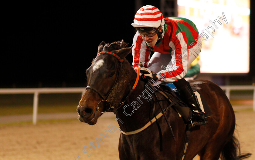 Tangramm-0004 
 TANGRAMM (Charles Bishop) wins The Bet totetrifecta at betfred.com Handicap Chelmsford 8 Dec 2017 - Pic Steven Cargill / Racingfotos.com