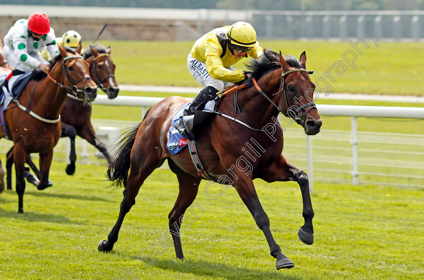 Ilaraab-0004 
 ILARAAB (Tom Marquand) wins The Sky Bet Race To The Ebor Jorvik Handicap
York 12 May 2021 - Pic Steven Cargill / Racingfotos.com