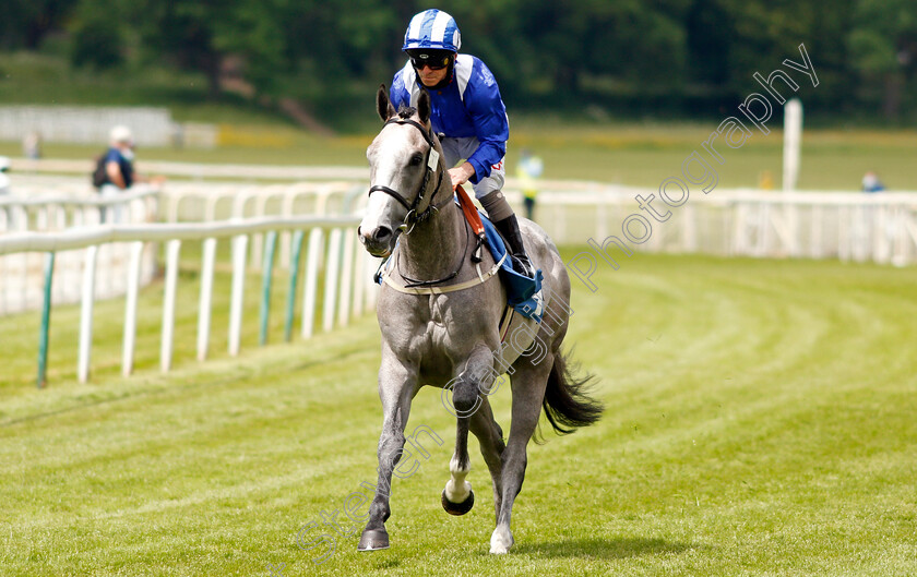 Jadhlaan-0002 
 JADHLAAN (Franny Norton) winner of The eventmasters.co.uk British EBF Novice Stakes
York 11 Jun 2021 - Pic Steven Cargill / Racingfotos.com