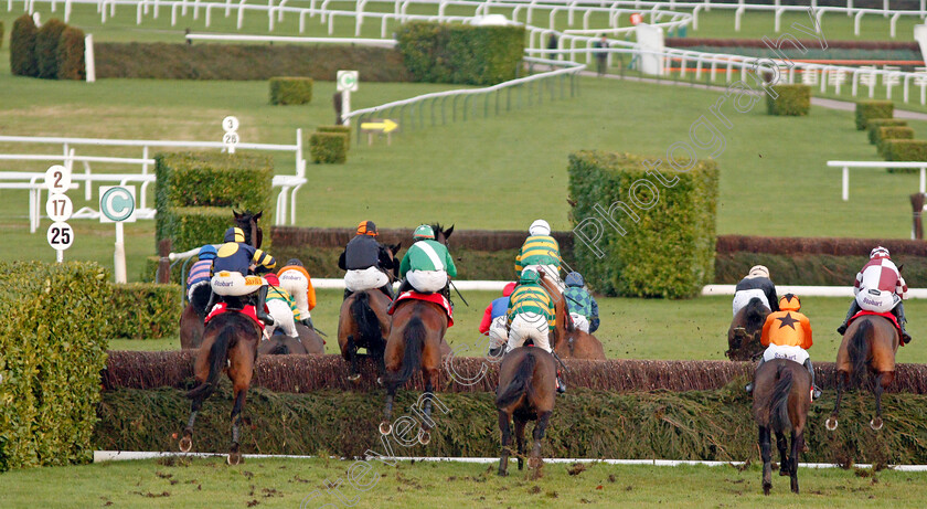 Cheltenham-0002 
 Action from The Glenfarclas Cross Country Handicap Chase
Cheltenham 13 Dec 2019 - Pic Steven Cargill / Racingfotos.com