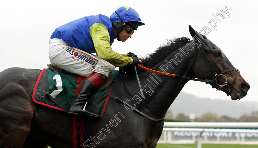 Dinons-0006 
 DINONS (Richard Johnson) wins The Randox Health Novices Hurdle
Cheltenham 27 oct 2018 - Pic Steven Cargill / Racingfotos.com