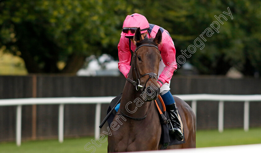 Swiss-Star-0002 
 SWISS STAR (William Buick)
Newmarket 4 Aug 2023 - Pic Steven Cargill / Racingfotos.com