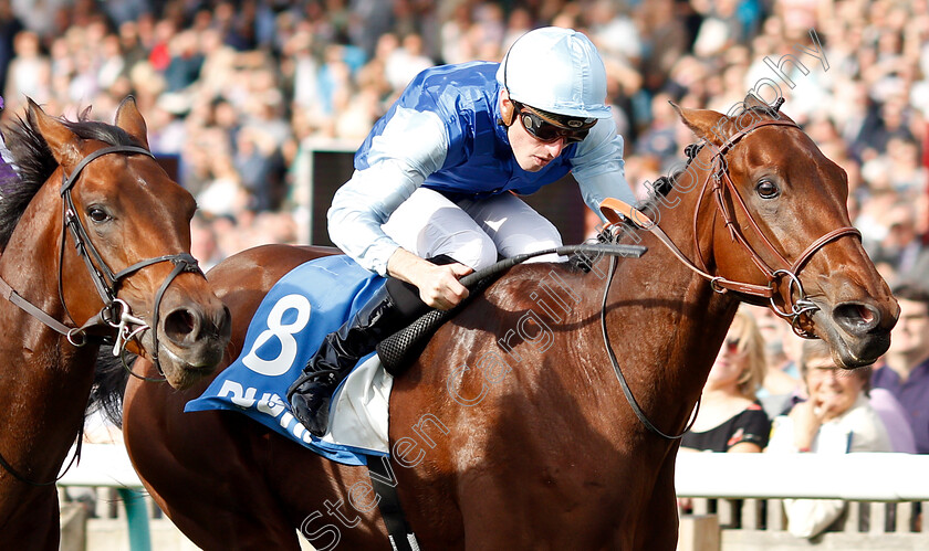 Persian-King-0009 
 PERSIAN KING (Pierre-Charles Boudot) wins The Masar Godolphin Autumn Stakes
Newmarket 13 Oct 2018 - Pic Steven Cargill / Racingfotos.com