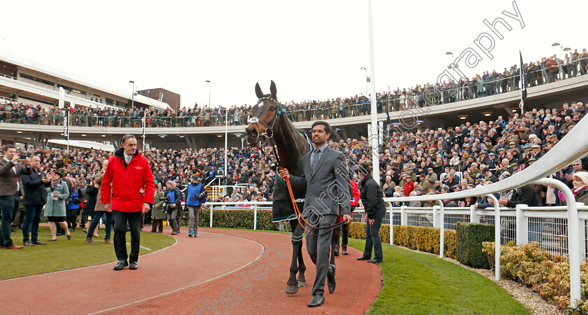 Altior-0012 
 ALTIOR after The Betway Queen Mother Champion Chase Cheltenham 14 Mar 2018 - Pic Steven Cargill / Racingfotos.com