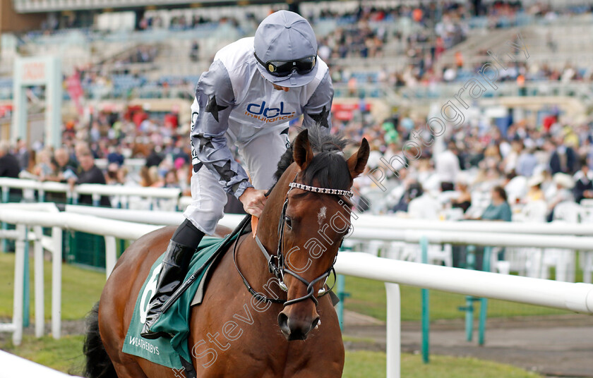 Pjanoo-0001 
 PJANOO (Daniel Tudhope)
Doncaster 8 Sep 2022 - Pic Steven Cargill / Racingfotos.com