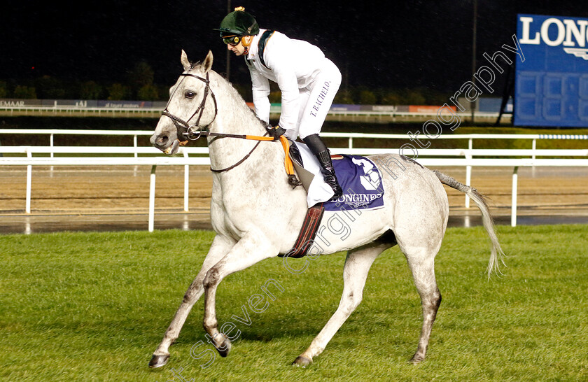 Batwan-0001 
 BATWAN (Theo Bachelot)
Meydan 27 Jan 2023 - Pic Steven Cargill / Racingfotos.com