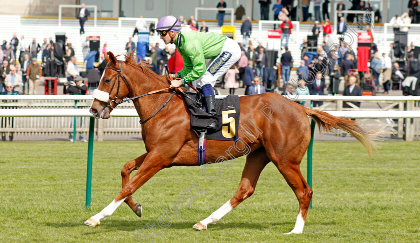 Flying-Barty 
 FLYING BARTY (Kevin Stott)
Newmarket 12 Apr 2022 - Pic Steven Cargill / Racingfotos.com