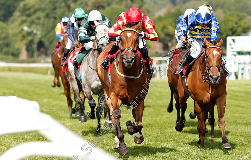 Knight-Crusader-0001 
 KNIGHT CRUSDADER (left, Liam Jones) beats MACHINE LEARNER (right) in The Sequel Handicap
Sandown 5 Jul 2019 - Pic Steven Cargill / Racingfotos.com