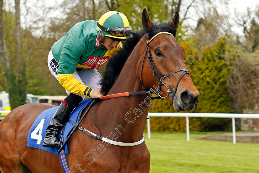 Nebuchadnezzar-0001 
 NEBUCHADNEZZAR (Tom Marquand) Salisbury 29 Apr 2018 - Pic Steven Cargill / Racingfotos.com