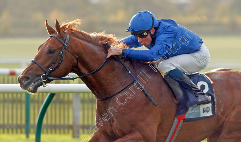 Castle-Way-0001 
 CASTLE WAY (William Buick) wins The British EBF Future Stayers Nursery
Newmarket 19 Oct 2022 - Pic Steven Cargill / Racingfotos.com