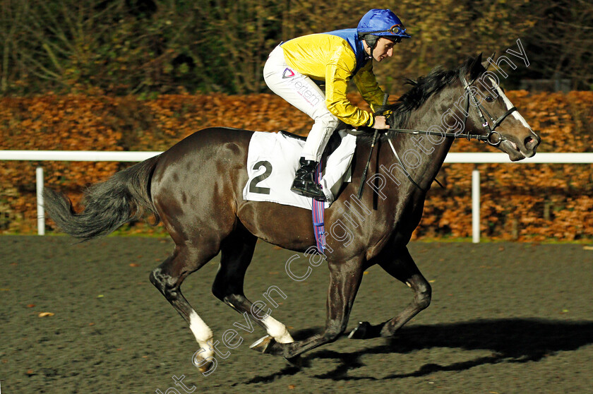 Betjeman-0001 
 BETJEMAN (P J McDonald) Kempton 13 Dec 2017 - Pic Steven Cargill / Racingfotos.com