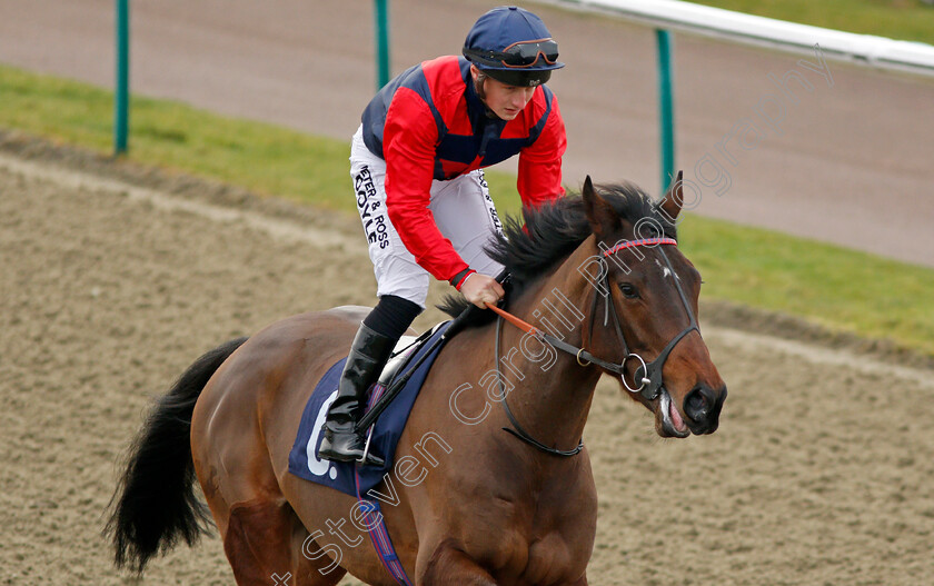 Knight-Errant-0002 
 KNIGHT ERRANT (Tom Marquand) Lingfield 6 Jan 2018 - Pic Steven Cargill / Racingfotos.com