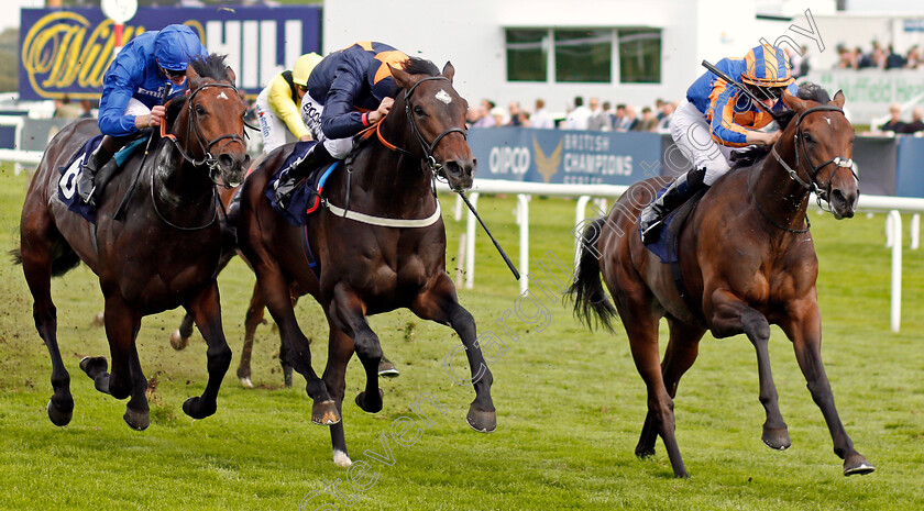 Seahenge-0002 
 SEAHENGE (right, Donnacha O'Brien) beats HEY GAMAN (centre) and MYTHICAL MAGIC (left) in The Howcroft Industrial Supplies Champagne Stakes Doncaster 16 Sep 2017 - Pic Steven Cargill / Racingfotos.com