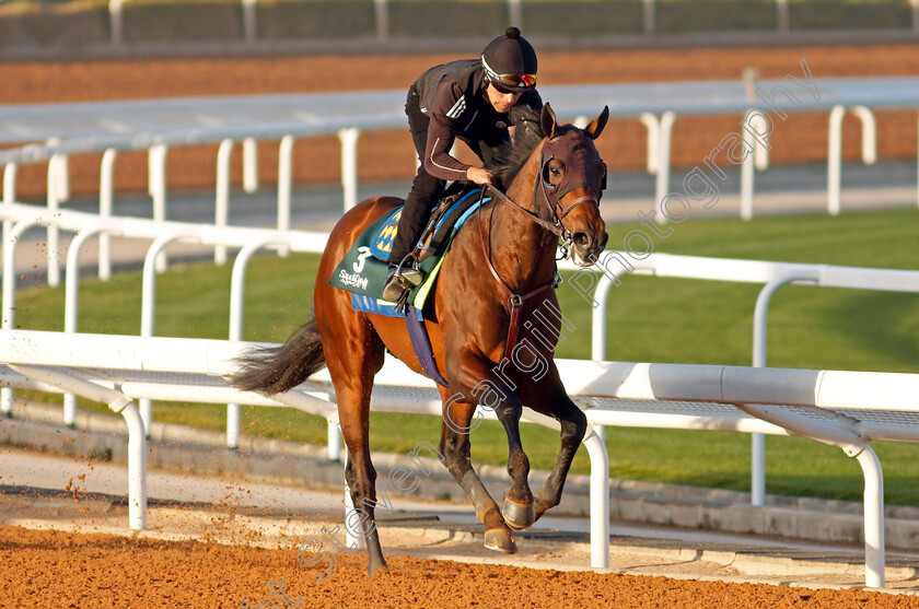 Country-Grammer-0003 
 COUNTRY GRAMMER training for The Saudi Cup
King Abdulaziz Racetrack, Riyadh, Saudi Arabia 22 Feb 2022 - Pic Steven Cargill / Racingfotos.com