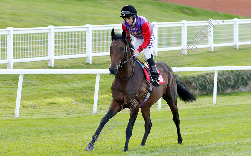 Sovereign-Grant-0001 
 SOVEREIGN GRANT (Ryan Moore)
Sandown 31 Aug 2018 - Pic Steven Cargill / Racingfotos.com