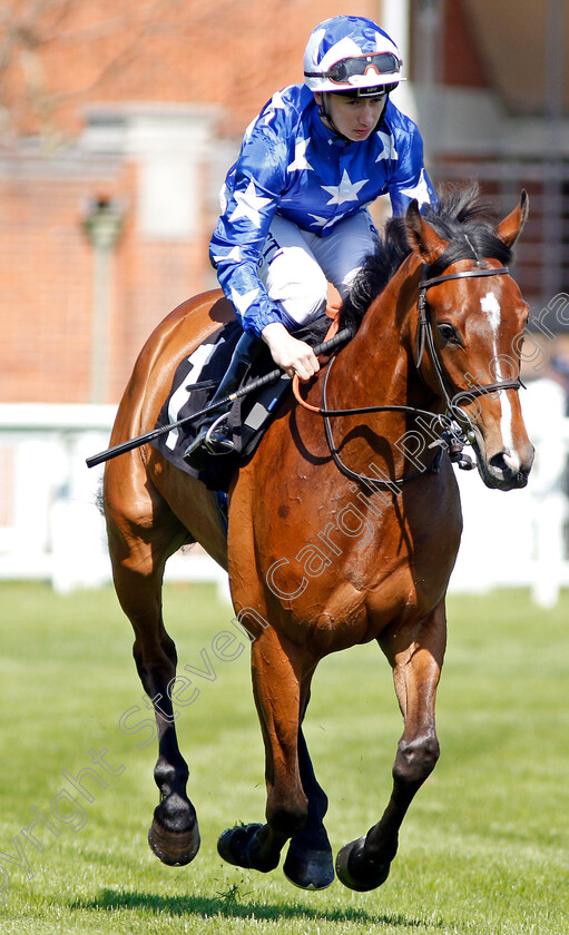 Arcadian-Cat-0001 
 ARCADIAN CAT (Oisin Murphy) Newbury 20 Apr 2018 - Pic Steven Cargill / Racingfotos.com