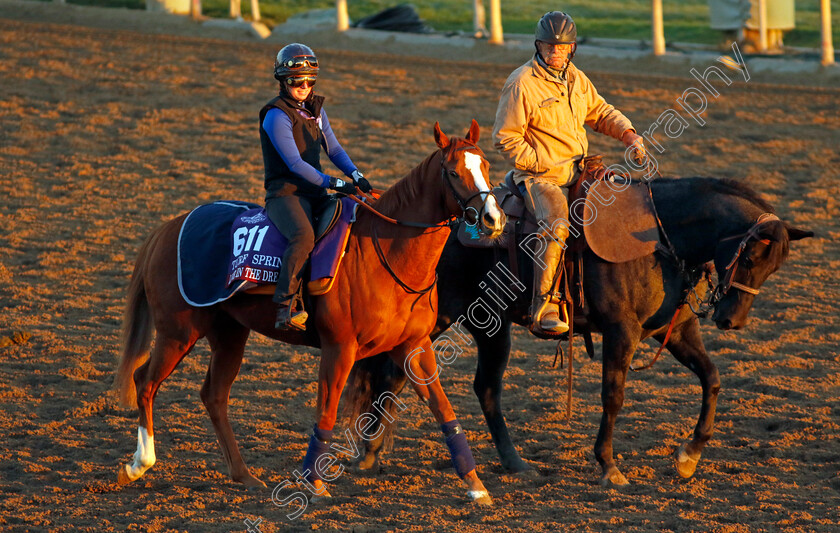 Live-In-The-Dream-0001 
 LIVE IN THE DREAM training for The Breeders' Cup Turf Sprint
Santa Anita USA, 30 Oct 2023 - Pic Steven Cargill / Racingfotos.com