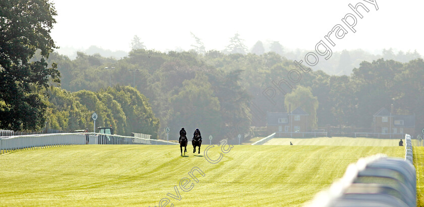 Coolangatta-0003 
 COOLANGATTA (right, James McDonald) preparing for Royal Ascot
Ascot 14 Jun 2023 - Pic Steven Cargill / Racingfotos.com