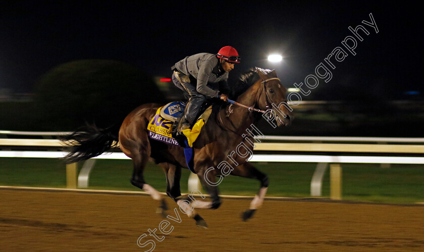 Flightline-0001 
 FLIGHTLINE training for the Breeders' Cup Classic
Keeneland USA 1 Nov 2022 - Pic Steven Cargill / Racingfotos.com