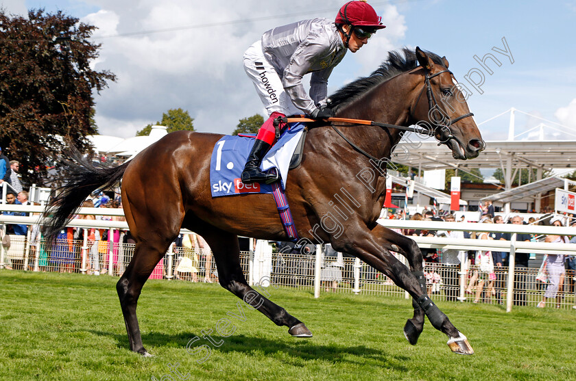 Davideo-0002 
 DAVIDEO (Frankie Dettori)
York 26 Aug 2023 - Pic Steven Cargill / Racingfotos.com