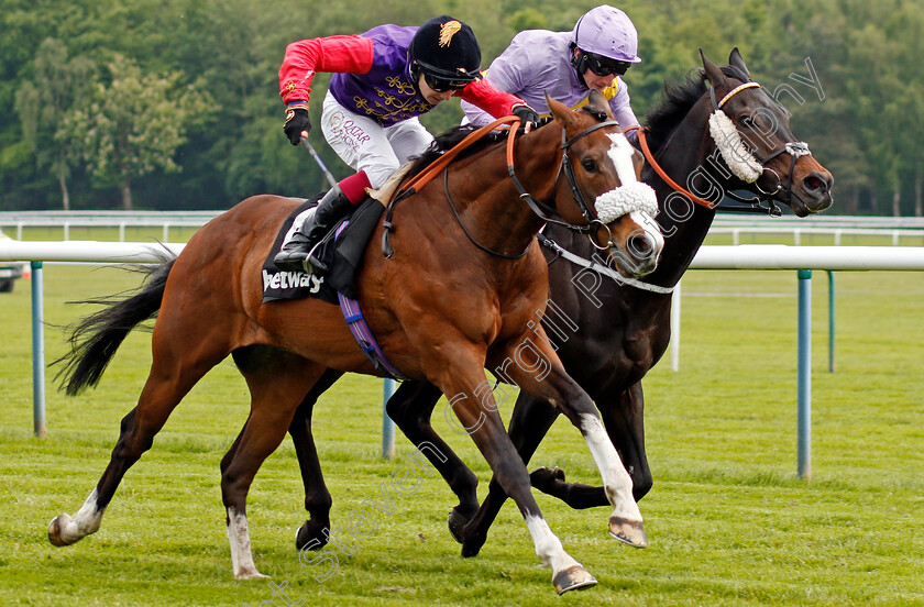 King s-Lynn-0005 
 KING'S LYNN (Oisin Murphy) beats MOSS GILL (right) in The Betway Achilles Stakes
Haydock 29 May 2021 - Pic Steven Cargill / Racingfotos.com