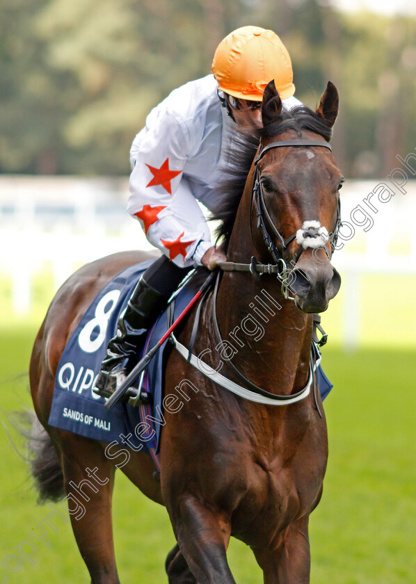 Sands-Of-Mali-0001 
 SANDS OF MALI (Daniel Tudhope)
Ascot 19 Oct 2019 - Pic Steven Cargill / Racingfotos.com