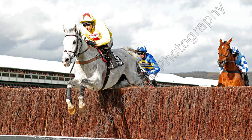 Politologue-0001 
 POLITOLOGUE (Harry Skelton) wins The Betway Queen Mother Champion Chase
Cheltenham 11 Mar 2020 - Pic Steven Cargill / Racingfotos.com