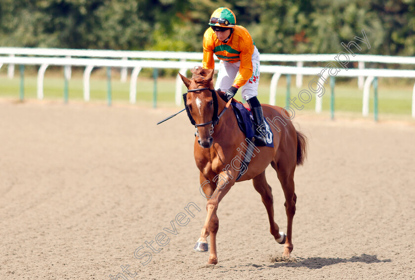 Secratario-0001 
 SECRATARIO (Nicola Currie)
Lingfield 25 Jul 2018 - Pic Steven Cargill / Racingfotos.com