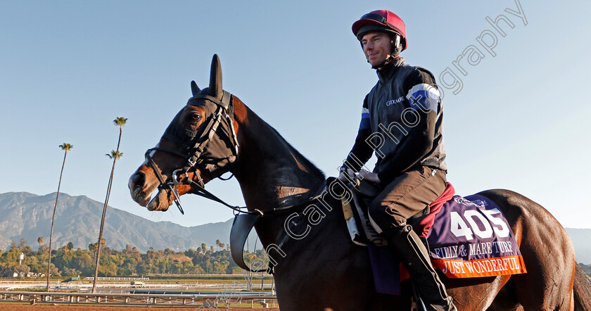 Just-Wonderful-0001 
 JUST WONDERFUL training for The Breeders' Cup Filly & Mare Turf
Santa Anita USA 31 Oct 2019 - Pic Steven Cargill / Racingfotos.com