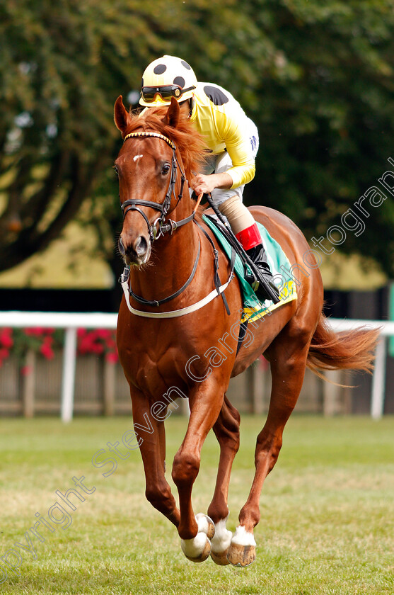 Juan-Elcano-0001 
 JUAN ELCANO (Andrea Atzeni)
Newmarket 13 Jul 2019 - Pic Steven Cargill / Racingfotos.com