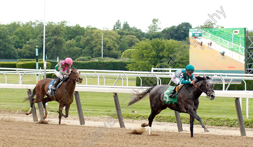 Stifle-Yourself-0001 
 STIFLE YOURSELF (Junior Alvarado) wins Maiden
Belmont Park 6 Jun 2019 - Pic Steven Cargill / Racingfotos.com