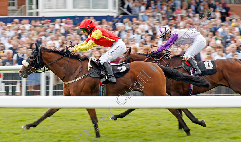 Gas-Monkey-0004 
 GAS MONKEY (Sarah Bowen) wins The Racing TV Handicap
Newbury 17 Aug 2019 - Pic Steven Cargill / Racingfotos.com